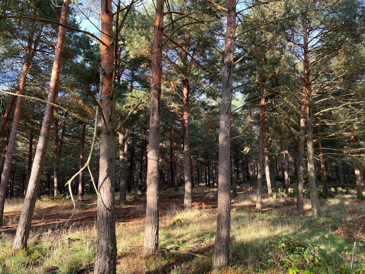 El Pecu Casa Rural Starfamiliar Bustillo Del Paramo エクステリア 写真
