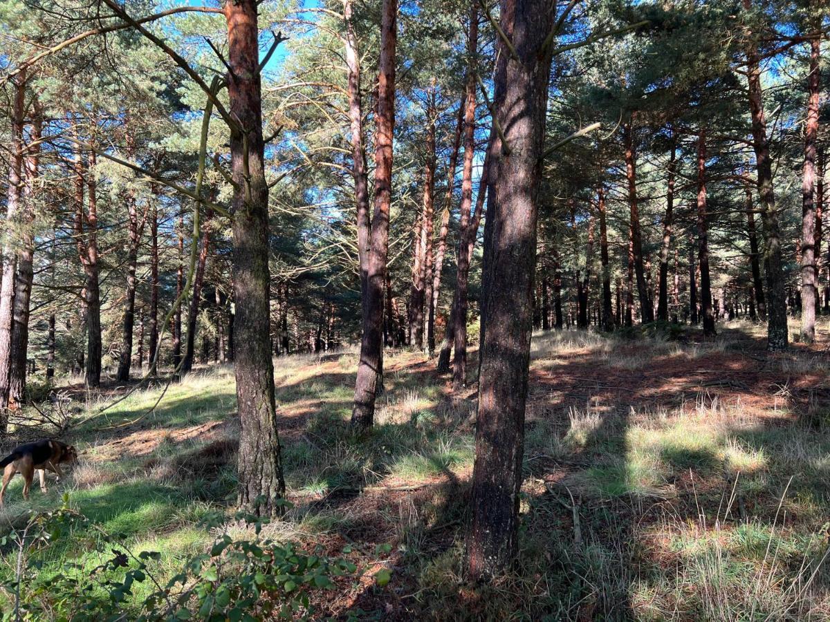 El Pecu Casa Rural Starfamiliar Bustillo Del Paramo エクステリア 写真