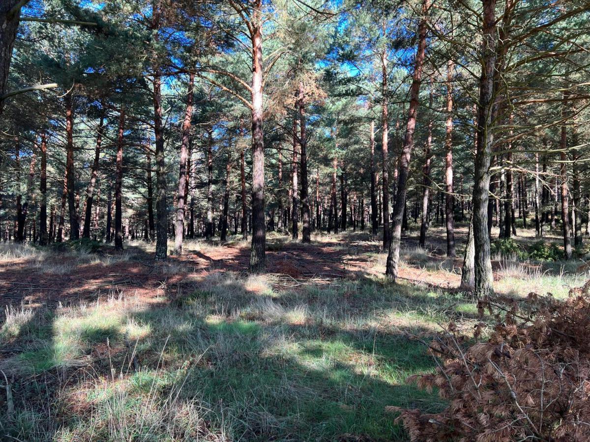 El Pecu Casa Rural Starfamiliar Bustillo Del Paramo エクステリア 写真