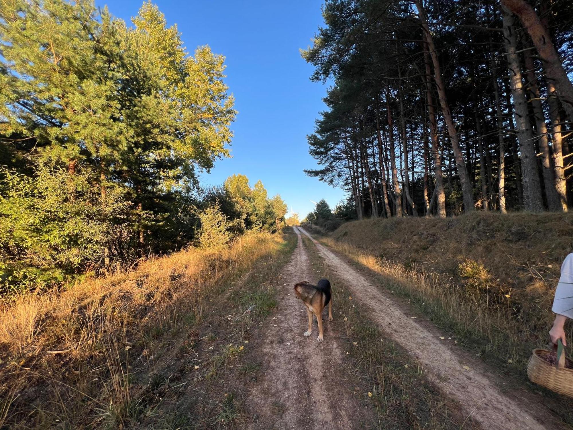 El Pecu Casa Rural Starfamiliar Bustillo Del Paramo エクステリア 写真