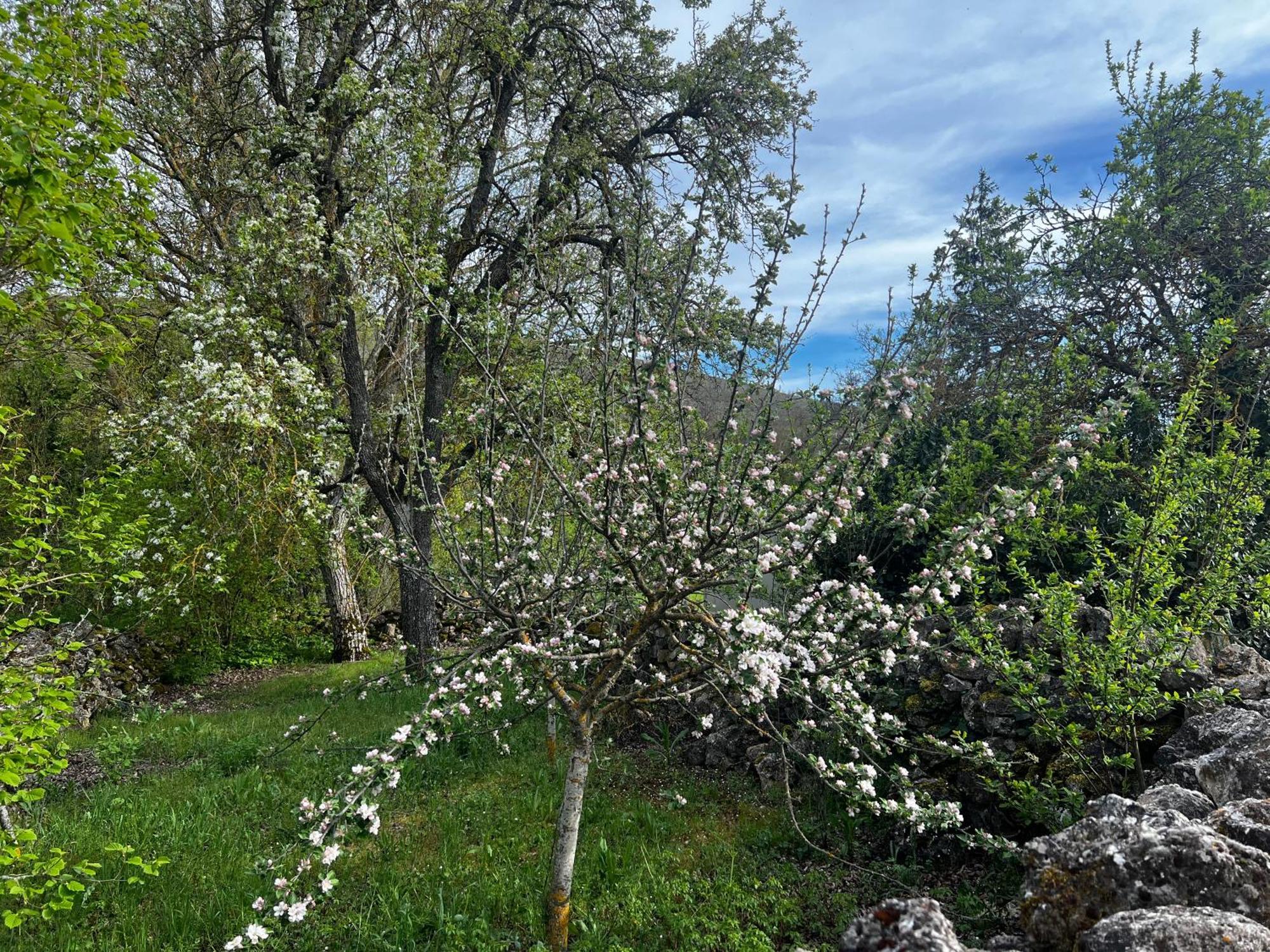El Pecu Casa Rural Starfamiliar Bustillo Del Paramo エクステリア 写真